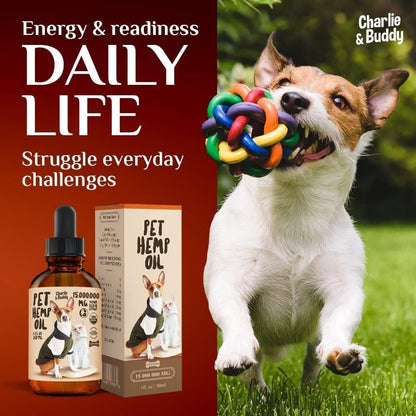 Charlie Buddy   Hemp Oil for Dogs Cats